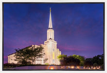 Load image into Gallery viewer, Spirit in St. Louis