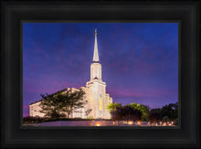 Load image into Gallery viewer, Spirit in St. Louis