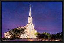 Load image into Gallery viewer, Spirit in St. Louis