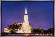 Load image into Gallery viewer, Spirit in St. Louis