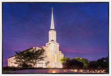 Load image into Gallery viewer, Spirit in St. Louis