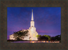 Load image into Gallery viewer, Spirit in St. Louis