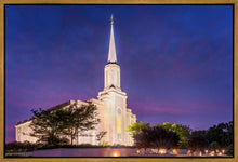 Load image into Gallery viewer, Spirit in St. Louis