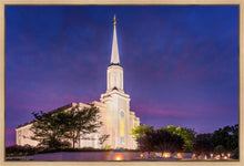 Load image into Gallery viewer, Spirit in St. Louis