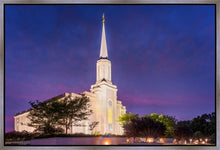 Load image into Gallery viewer, Spirit in St. Louis