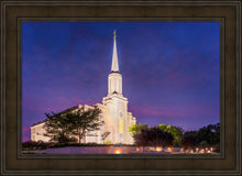 Load image into Gallery viewer, Spirit in St. Louis
