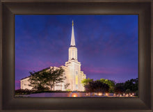 Load image into Gallery viewer, Spirit in St. Louis
