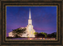 Load image into Gallery viewer, Spirit in St. Louis