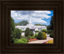 Load image into Gallery viewer, St. Paul Day