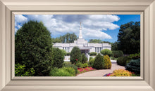 Load image into Gallery viewer, St. Paul Day
