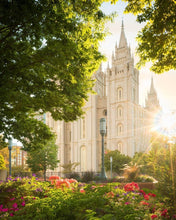 Load image into Gallery viewer, Salt Lake - The Lord is My Light (Vertical)