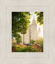 Load image into Gallery viewer, Salt Lake - The Lord is My Light (Vertical)