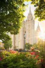 Load image into Gallery viewer, Salt Lake - The Lord is My Light (Vertical)