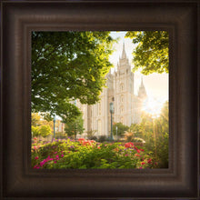 Load image into Gallery viewer, Salt Lake - The Lord is My Light