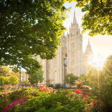 Load image into Gallery viewer, Salt Lake - The Lord is My Light