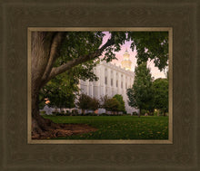 Load image into Gallery viewer, St. George Tree of Life