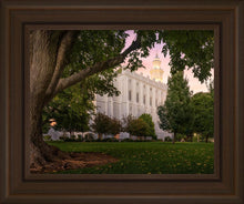 Load image into Gallery viewer, St. George Tree of Life