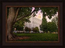 Load image into Gallery viewer, St. George Tree of Life