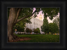 Load image into Gallery viewer, St. George Tree of Life
