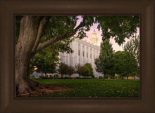 Load image into Gallery viewer, St. George Tree of Life