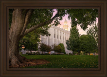 Load image into Gallery viewer, St. George Tree of Life