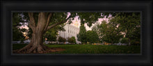 Load image into Gallery viewer, St. George Tree of Life