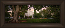 Load image into Gallery viewer, St. George Tree of Life