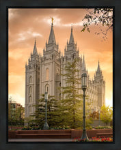 Load image into Gallery viewer, Salt Lake - The Promise