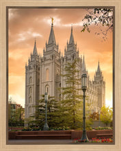 Load image into Gallery viewer, Salt Lake - The Promise