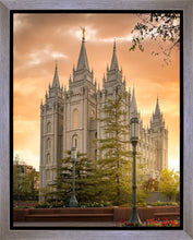 Load image into Gallery viewer, Salt Lake - The Promise