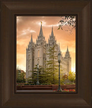 Load image into Gallery viewer, Salt Lake - The Promise