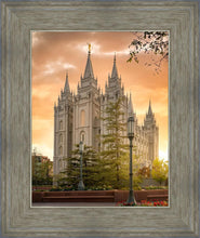 Load image into Gallery viewer, Salt Lake - The Promise