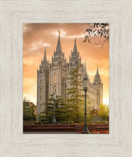 Load image into Gallery viewer, Salt Lake - The Promise
