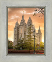 Load image into Gallery viewer, Salt Lake - The Promise