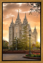 Load image into Gallery viewer, Salt Lake - The Promise