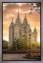 Load image into Gallery viewer, Salt Lake - The Promise