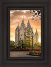 Load image into Gallery viewer, Salt Lake - The Promise