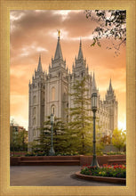Load image into Gallery viewer, Salt Lake - The Promise