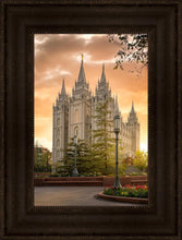 Load image into Gallery viewer, Salt Lake - The Promise