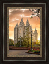 Load image into Gallery viewer, Salt Lake - The Promise