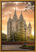 Load image into Gallery viewer, Salt Lake - The Promise