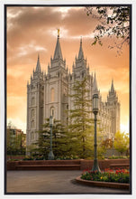 Load image into Gallery viewer, Salt Lake - The Promise