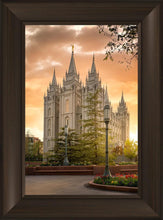Load image into Gallery viewer, Salt Lake - The Promise