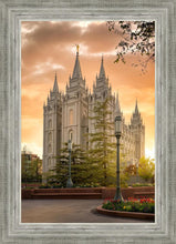 Load image into Gallery viewer, Salt Lake - The Promise