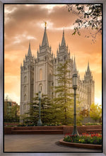 Load image into Gallery viewer, Salt Lake - The Promise