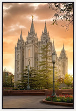 Load image into Gallery viewer, Salt Lake - The Promise