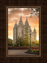 Load image into Gallery viewer, Salt Lake - The Promise