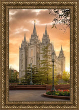 Load image into Gallery viewer, Salt Lake - The Promise