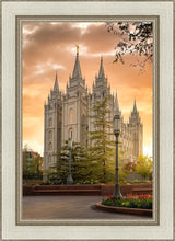 Load image into Gallery viewer, Salt Lake - The Promise