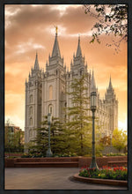 Load image into Gallery viewer, Salt Lake - The Promise